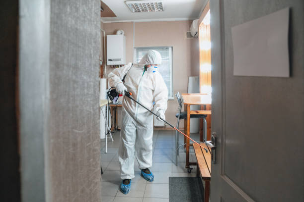 Trusted Covington, GA Mold Removal Experts