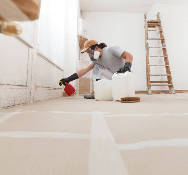 Best Mold Documentation for Insurance Claims  in Covington, GA
