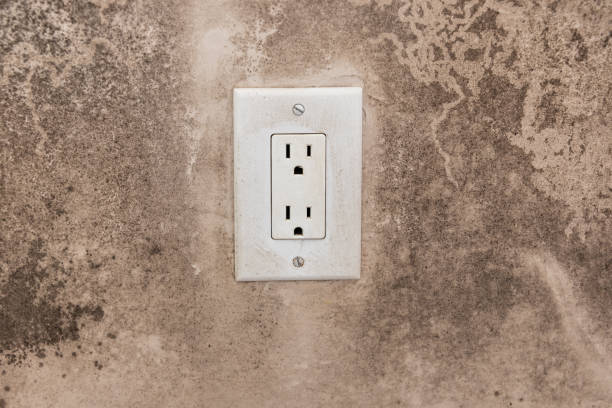 Best Forensic Mold Investigation  in Covington, GA