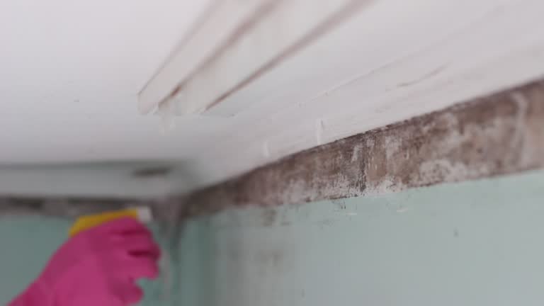 Asbestos and Lead Testing During Mold Inspection in Covington, GA